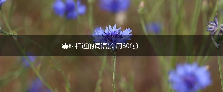 霎时相近的词语(实用60句),第1张