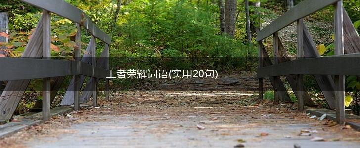 王者荣耀词语(实用20句),第1张