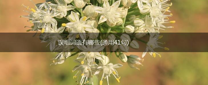 误组词语有哪些(通用41句),第1张