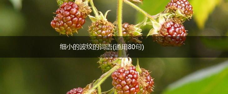 细小的波纹的词语(通用80句),第1张