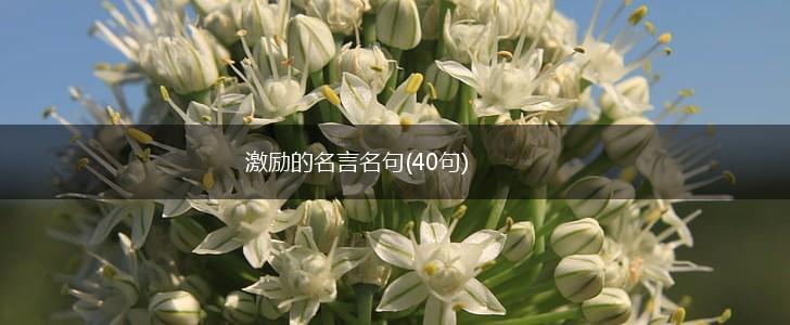 激励的名言名句(40句),第1张