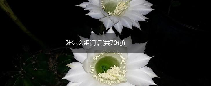 陆怎么组词语(共70句),第1张