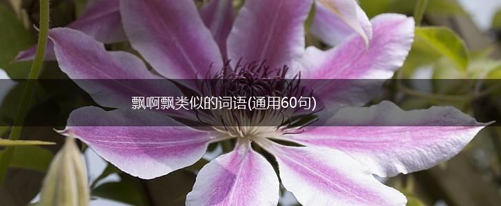 飘啊飘类似的词语(通用60句),第1张