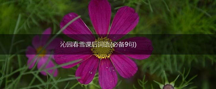 沁园春雪课后词语(必备9句),第1张