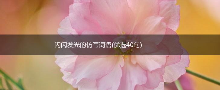 闪闪发光的仿写词语(优选40句),第1张