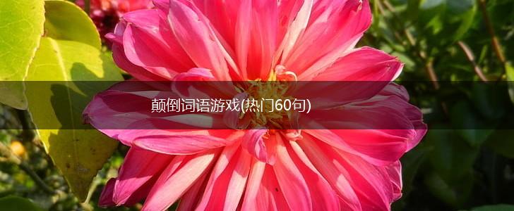 颠倒词语游戏(热门60句),第1张