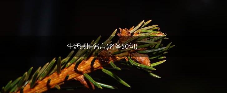 生活感悟名言(必备50句),第1张