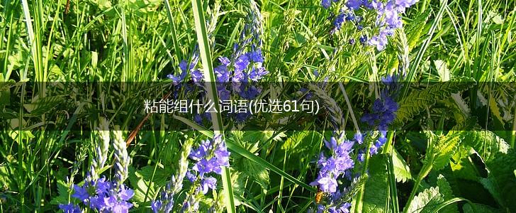 粘能组什么词语(优选61句),第1张