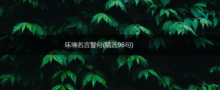 环境名言警句(精选96句),第1张