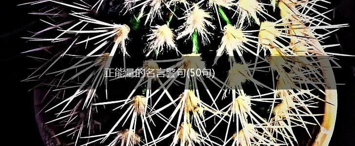 正能量的名言警句(50句),第1张