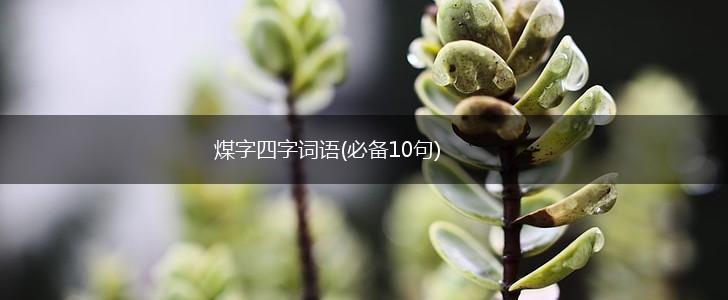 煤字四字词语(必备10句),第1张
