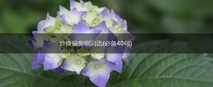 沙换偏旁组词语(必备40句),第1张