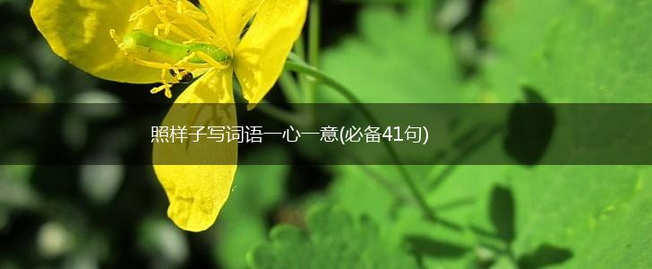 照样子写词语一心一意(必备41句),第1张