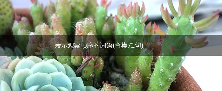 表示观察顺序的词语(合集71句),第1张