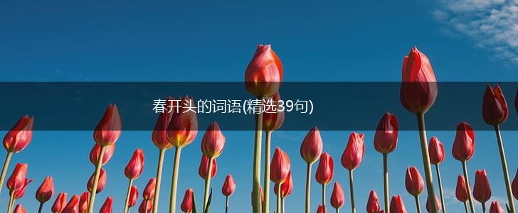 春开头的词语(精选39句),第1张