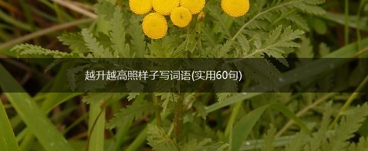 越升越高照样子写词语(实用60句),第1张