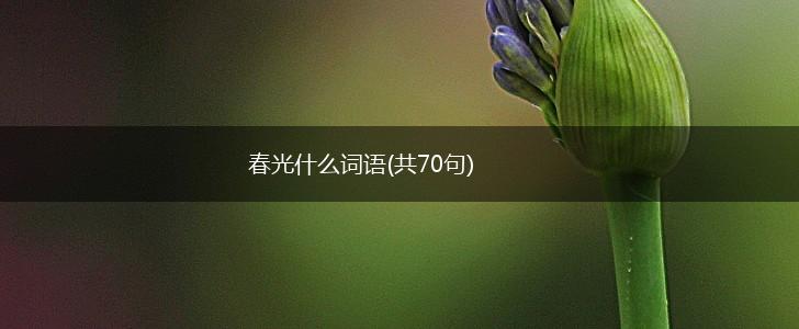 春光什么词语(共70句),第1张 春光什么词语(共70句),第1张