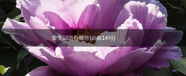 象生词语有哪些(必备14句),第1张