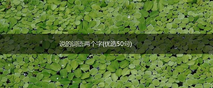 说的词语两个字(优选50句),第1张
