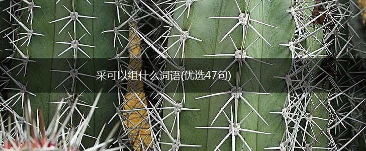 采可以组什么词语(优选47句),第1张