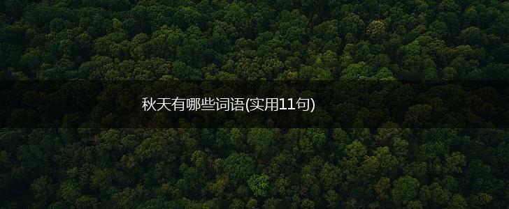 秋天有哪些词语(实用11句),第1张