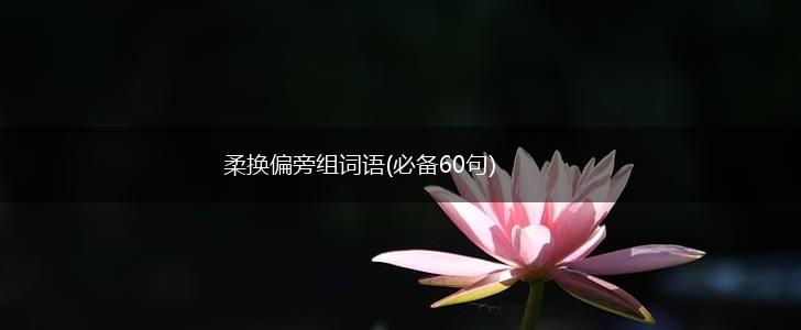 柔换偏旁组词语(必备60句),第1张