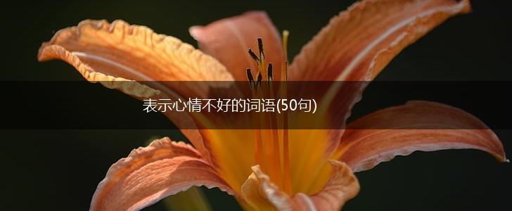 表示心情不好的词语(50句),第1张 表示心情不好的词语(50句),第1张