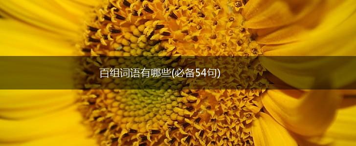 百组词语有哪些(必备54句),第1张