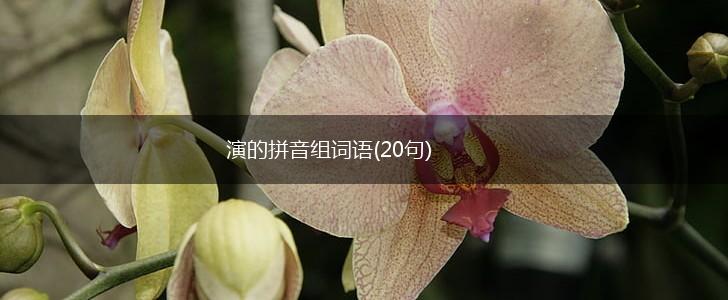 演的拼音组词语(20句),第1张