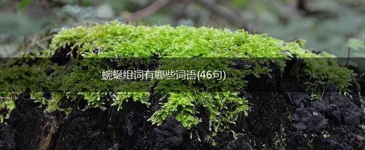 蜿蜒组词有哪些词语(46句),第1张 蜿蜒组词有哪些词语(46句),第1张