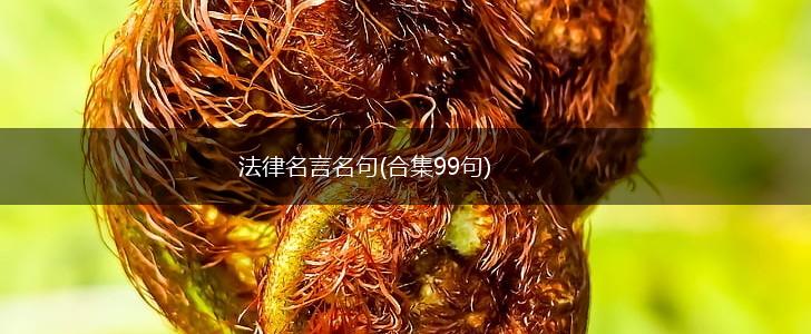 法律名言名句(合集99句),第1张 法律名言名句(合集99句),第1张