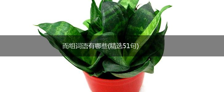 而组词语有哪些(精选51句),第1张