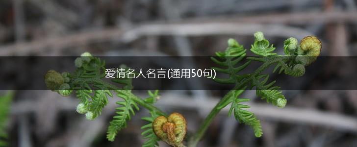 爱情名人名言(通用50句),第1张