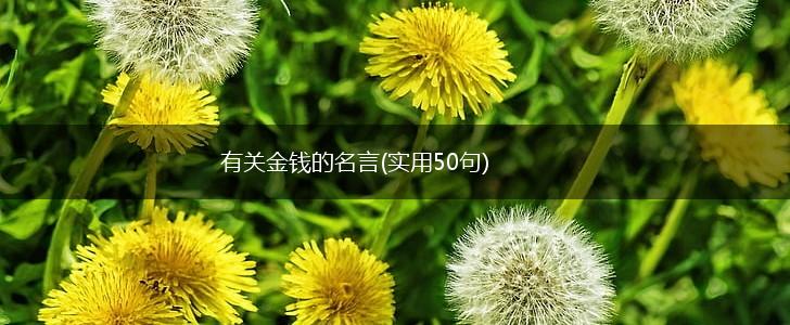 有关金钱的名言(实用50句),第1张 有关金钱的名言(实用50句),第1张