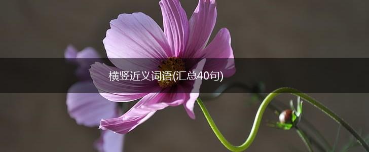 横竖近义词语(汇总40句),第1张