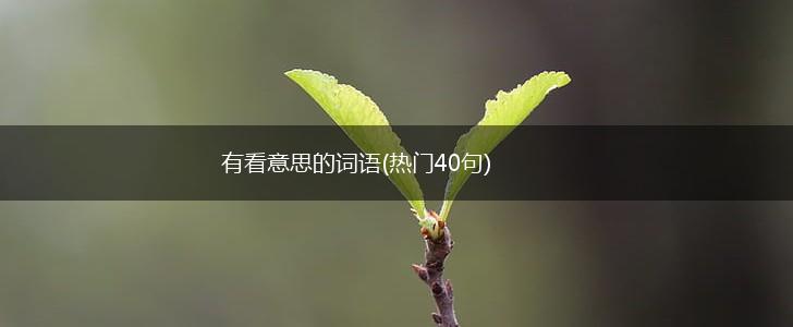 有看意思的词语(热门40句),第1张