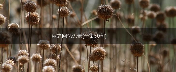 秋之回忆语录(合集50句),第1张