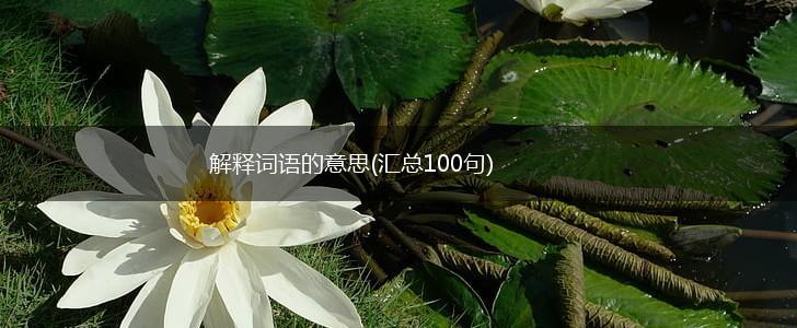 解释词语的意思(汇总100句),第1张