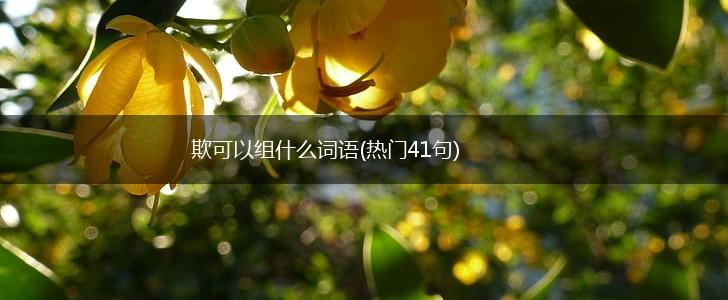 欺可以组什么词语(热门41句),第1张