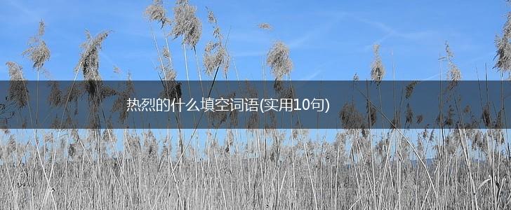 热烈的什么填空词语(实用10句),第1张