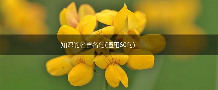 知识的名言名句(通用60句),第1张 知识的名言名句(通用60句),第1张
