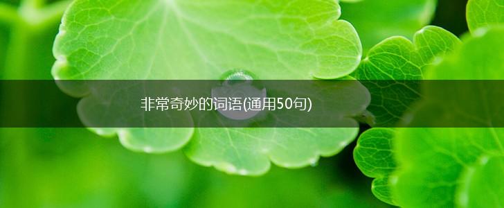 非常奇妙的词语(通用50句),第1张