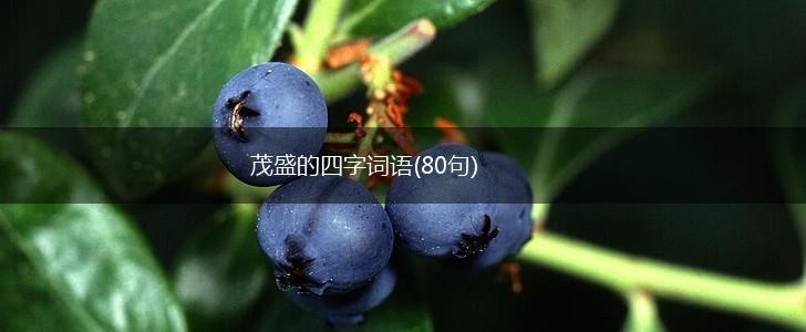 茂盛的四字词语(80句),第1张