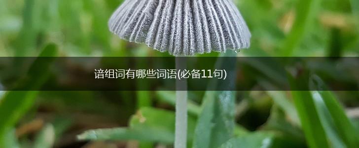 谙组词有哪些词语(必备11句),第1张 谙组词有哪些词语(必备11句),第1张
