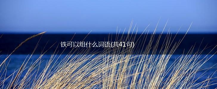 铁可以组什么词语(共41句),第1张