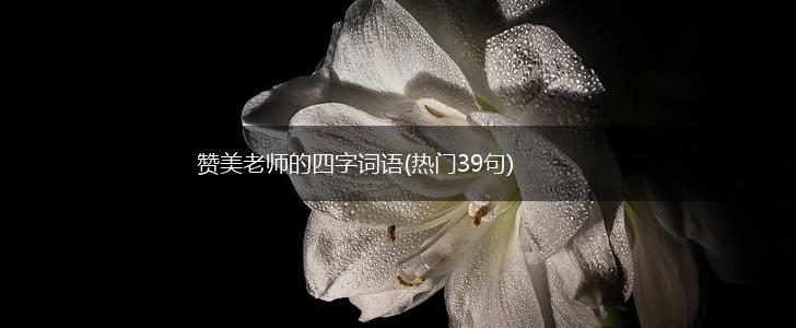 赞美老师的四字词语(热门39句),第1张