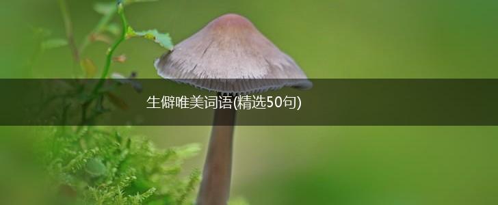 生僻唯美词语(精选50句),第1张