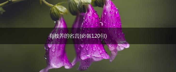 有教养的名言(必备120句),第1张