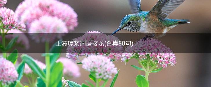 玉液琼浆词语接龙(合集80句),第1张