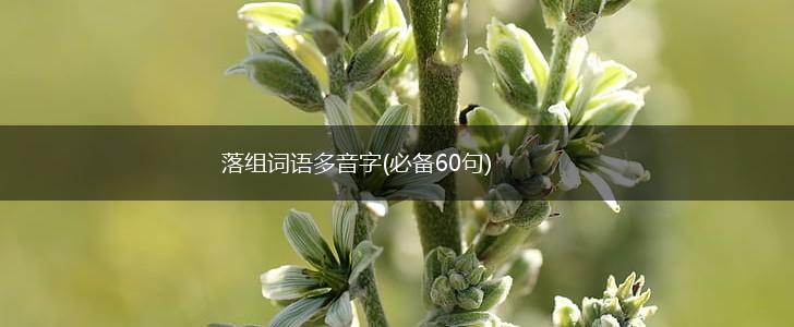 落组词语多音字(必备60句),第1张